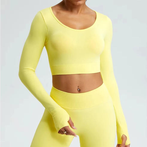 Yoga T-shirts Women Crop Top Solid Sports Top Long Sleeve Seamless Running Shirts